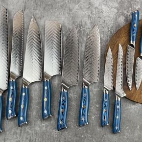 10pcs damascus steel kitchen knife set