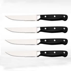 4pcs ABS hanldle steak knife set
